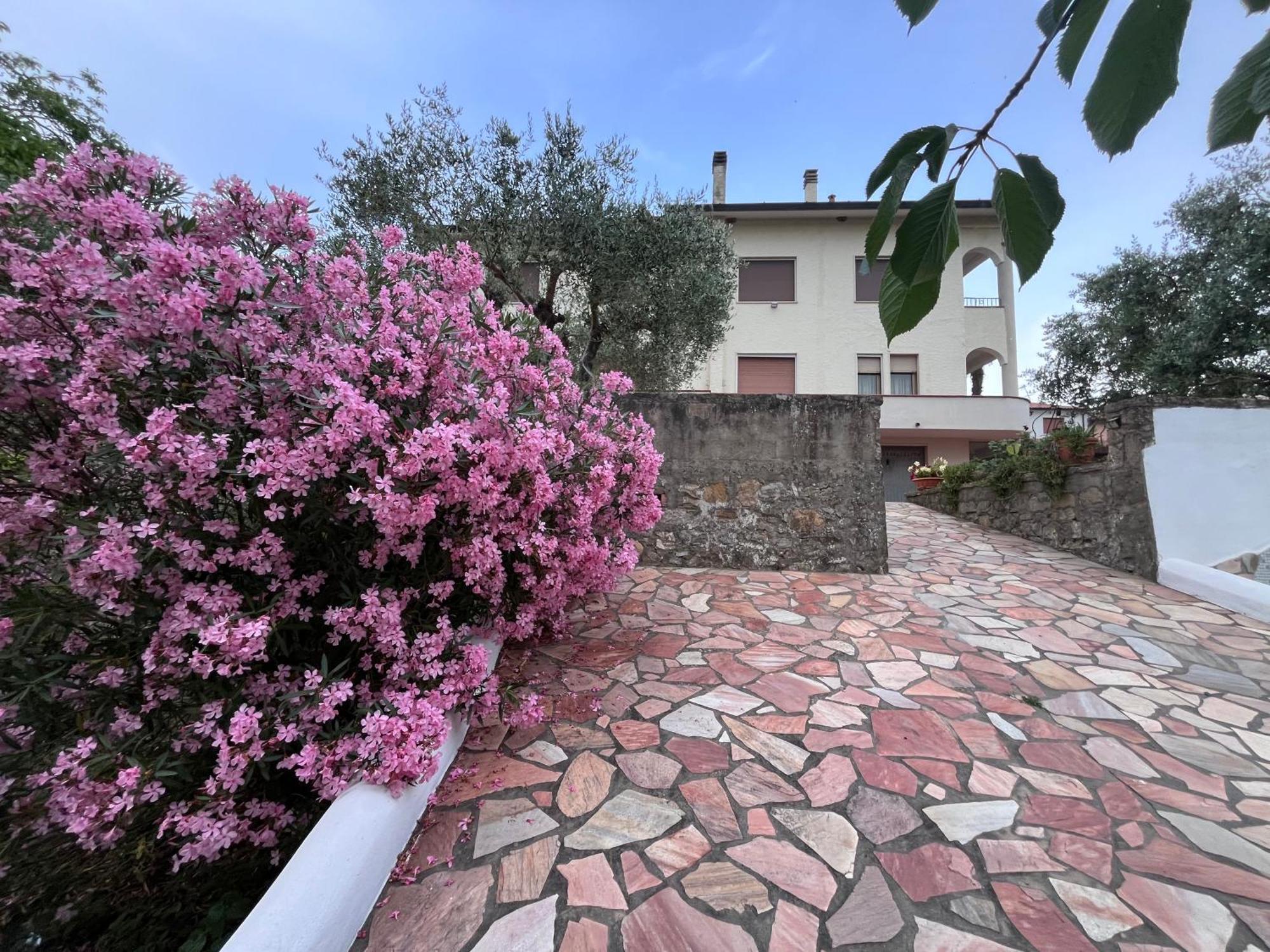Casa Di Katia Appartement Collesalvetti Buitenkant foto